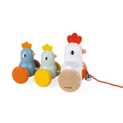 Arrastre Gallina Y Sus Pollitos