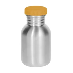Botella Acero Dinos World 350 Ml