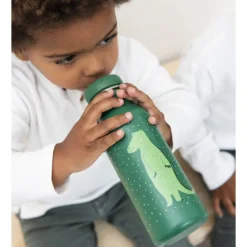 Botella Cocodrilo 500 Ml
