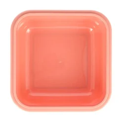 Caja Almuerzo Grande Wild Fairies
