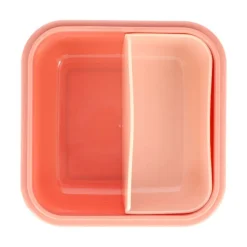 Caja Almuerzo Grande Wild Fairies