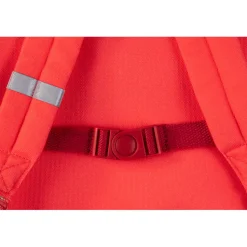 Cartera Anais