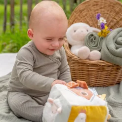 Cubo Blandito De Actividades Pequena Granja