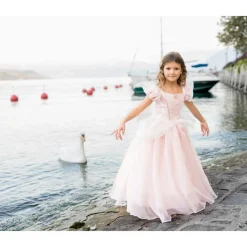 Disfraz Princesa Rosa 5-6 Años