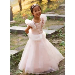 Disfraz Princesa Rosa 5-6 Años