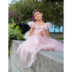 Disfraz Princesa Rosa 3-4 Años