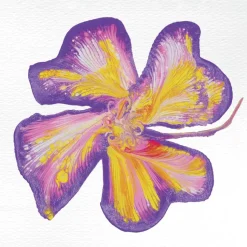 Flower Power I Love Creativity
