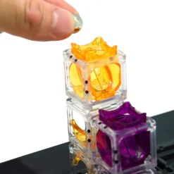 Gravity Maze