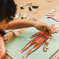 Juego De Anatomia: Bodymagnet