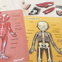 Juego De Anatomia: Bodymagnet