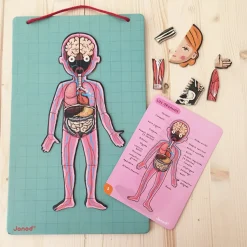 Juego De Anatomia: Bodymagnet