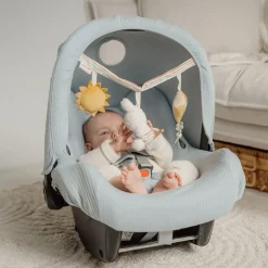 Juguete Cochecito Miffy Sunny