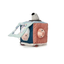 Louis Lobo Cubo De Descubrimientos