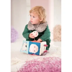 Louis Lobo Cubo De Descubrimientos
