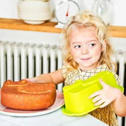 Molde Para Bizcochos Cocodrilo Anatole