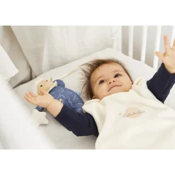 Oveja Músical Despierta