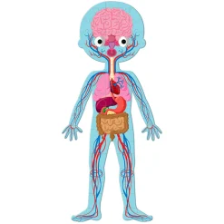 Puzzle Educativo Cuerpo Humano