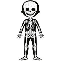 Puzzle Educativo Cuerpo Humano