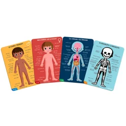 Puzzle Educativo Cuerpo Humano