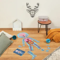 Puzzle Educativo Cuerpo Humano